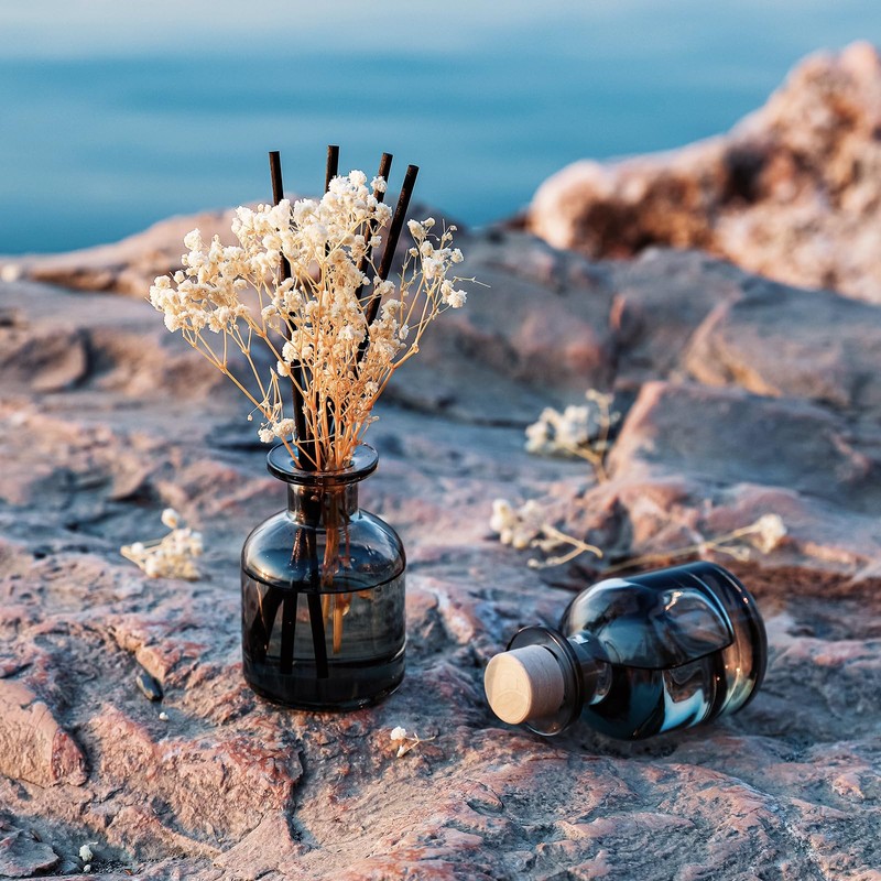 Brakula 2 Pack Reed Diffuser, White Jasmine + Eucalyptus &