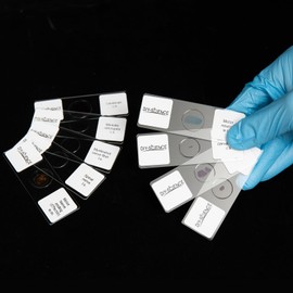 Nervous System Prepared Microscope Slides Set, 9 Pack Nerve Fiber, Motor Neuron, Spinal and More Typical Nervous System Specimens for Biology Science Class