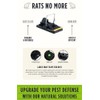 Grandpa Gus's Pest Control Large Snap Traps for Mice/Rats (6