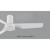 Carro 44 Inch Ceiling Fan without Lights Flush Mount, Small