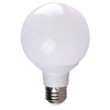 Simply Conserve 6 Watt LED Globe Light Bulbs, 24-Pack Bulk,
