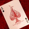 David Blaine Red Gatorbacks Playing Cards