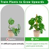 Moss Pole, 2 Pack 17 Inch Monstera Plant Support for