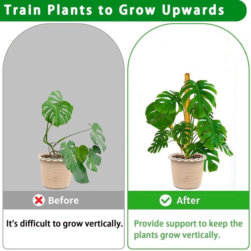 Moss Pole, 2 Pack 17 Inch Monstera Plant Support for