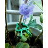 Plant Clips Plant Clips for Trellis Tomatoes, Roses, Cucumbers and