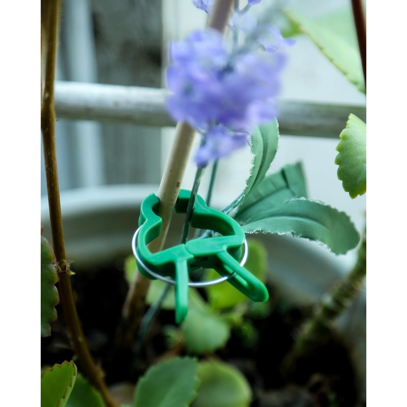 Plant Clips Plant Clips for Trellis Tomatoes, Roses, Cucumbers and