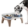Dog Bowl Stand - 8.5 Inch Tall Feeding Tray for