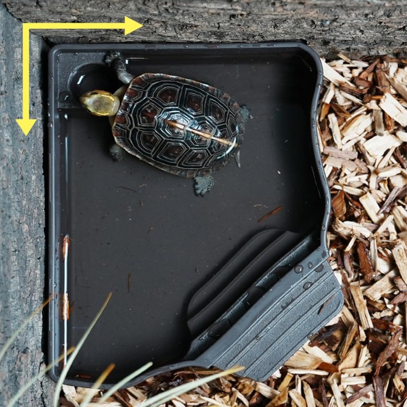 Flushbay Reptile Water Feeder Automatic Water Dispenser with Ramp Extra