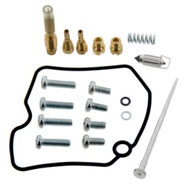 Carburetor Repair Kit Carb Kit fits Arctic Cat 366 4x4 Automatic 2009-2011