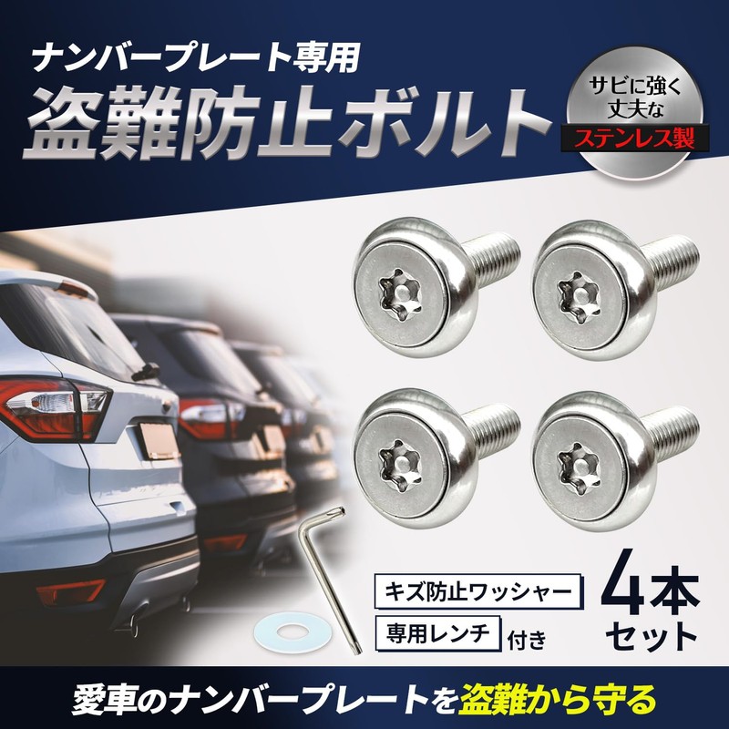 RENPA Stainless Steel Anti-Theft Bolt Set for License Plate Specific