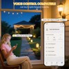 Zuomeng WiFi Smart Socket Timer for Low Voltage Landscape Lighting,
