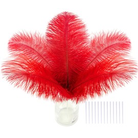 SOGUGOM Red Craft Ostrich Feathers - 30PCS 6-8 Bulk Ostrich Feathers Kit for Kindergarten Crafts, Dream Catchers and Party Centerpieces(Red)