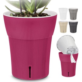 Happy Plants Orchid Pot D 14.7 cm Flower Pot with Integrated Water Level Indicator, Self-Watering Flower Pot with Wick, Self-Watering System for Orchids - Fuchsia, 2 Litres