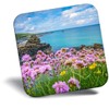 Destination Vinyl ltd Fridge Magnet - St Ives Cornwall England