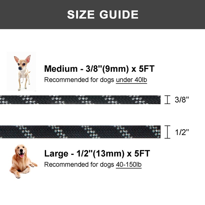Petarea 5 FT Slip Lead Dog Leash, Heavy Duty Rope