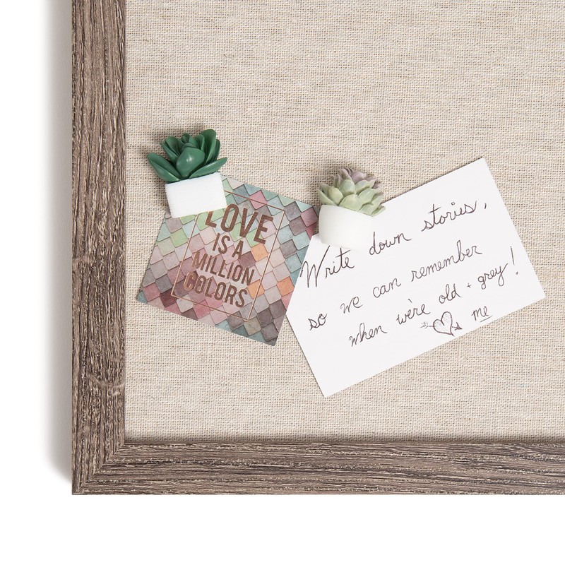 U Brands Succulent Push Pins Set, Office Supplies, Three Assorted