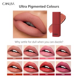 CANUSA Infallible Matte Lipstick, Infallible Matte Resistance, Long Lasting up to 8 hours, High Coverage, High Impact Lipcolour with Moisturising Creamy Formula (MAUVE-DELIGHT 01, One Size)