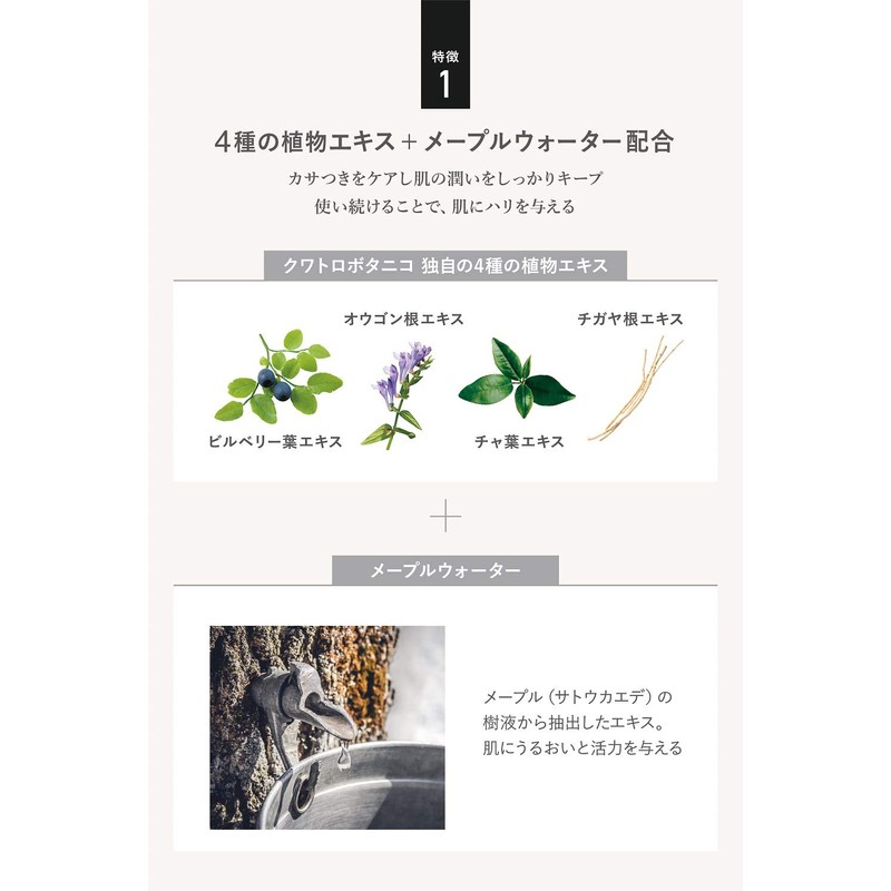 kuwatorobotaniko (Quattro Botanico) [Male All-in-One Makeup Water Face eizingukea] Botanical