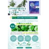 LIHAW Rihau Night Care Mask [CICA x Nemushi Bark Extract]