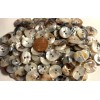 Unbranded 8 Glossy Iridescent Off-white Brown Shell MOP Buttons 15mm