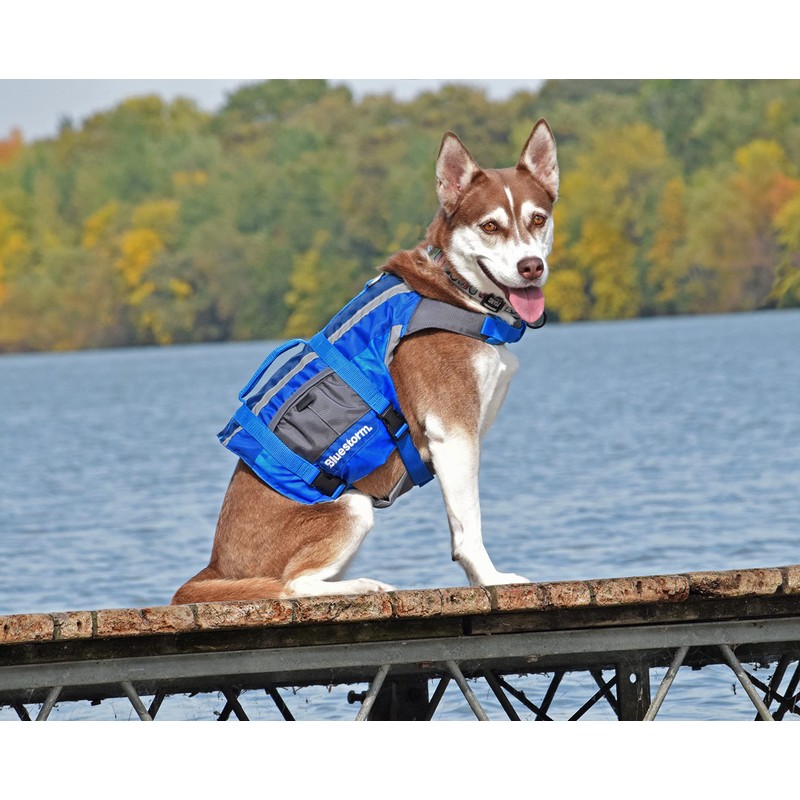 BLUESTORM Advanced Dog Vest with Reflective Stripes/Adjustable Neck Strap |