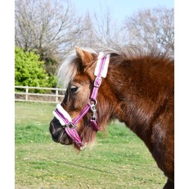 Rhinegold Bright Striped Fur Trim Headcollar-Mini Shet-Rasp, Raspberry Stripe