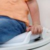 Fisher-Price™ Ready & Steady Potty Seat – Deluxe Soft Padded