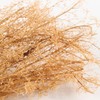 CENPEK Seafoam Trees Box Set Model Scene Materials Miniature Bushes