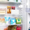 PEARL Fridge Dehumidifier, 3-in-1 Fridge Fresh EF-66.K Against Odours, Moisture