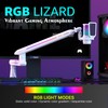 IXTECH RGB Low Profile Boom Arm for Mic, Adjustable Microphone
