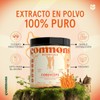 Commons Hongos Adaptógenos - Hongo Cordyceps - Extracto Puro en