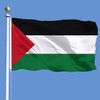 1 Palestinian Flag (90 x 150 cm), 5 Hand Waving