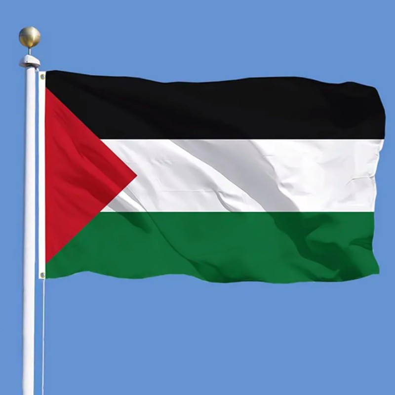 1 Palestinian Flag (90 x 150 cm), 5 Hand Waving