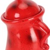 Canister with Attitude Multipurpose Unique Cute Food Storage Jar with
