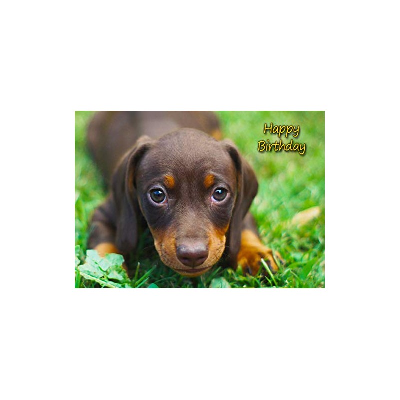 Dachshund Dog Birthday Card