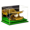 Better Display Cases Acrylic Baseball Glove Display Case with Mirror,