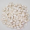 Tierra de Colores - Pepita De Calabaza Semilla Con Cascara