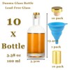 Danmu 10 Pack Glass Bottles, 3.3oz Small Glass Bottles,Glass Bottles