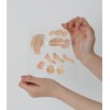Cezanne [Cezanne] Palette Concealer 4.5g / [세잔느] 팔레트 컨실러 4.5g