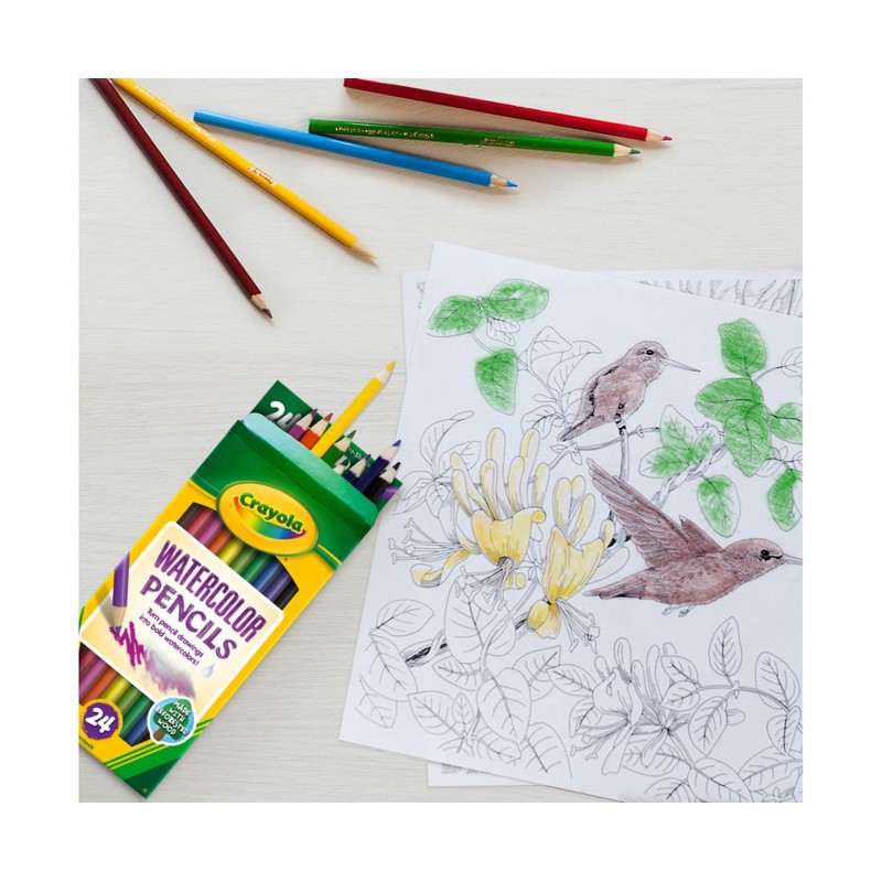 Crayola Watercolor Colored Pencils (24ct), Watercolor Paint Alternative, Watercolor Pencil