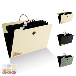 Elezeal Expanding File Folder - Accordion Document Holder with 13 Pockets and Elastic Closure, A4 Expanding File Folder for Papers, Receipts, Bills, Documents (Beige)