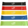 Fit Simplify Fit Simplify Resistance Loop Exercise Bands with Instruction