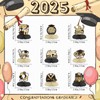 9Pcs Gold and Black Graduation Decorations Honeycomb Centerpieces, Class of
