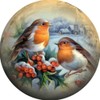 Abillyn Embroidery Cross Stitch Kits Birds Winter Landscape Stamped with