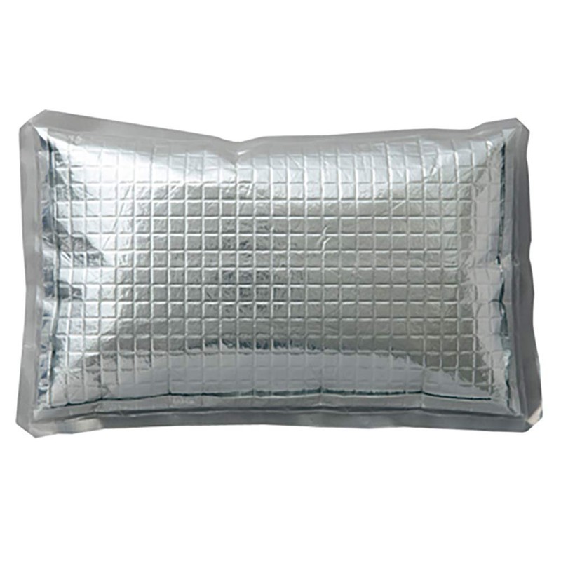 AITOZ AZ865933 101 Silver F Ice Packs, Set of 4,