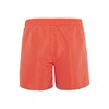 Chiemsee Swimming Shorts with Inner Drawstring, 17-1558 Grenadine, L