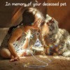 2 Pack Memorial Crystal Suncatcher,Sympathy Gifts for Loss of Loved
