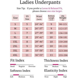 Cinvik Womens Cotton Underwear Cheeky Plus Size Underpants Bikini Panties Black 6 Pack 3X