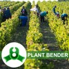 RDNKVB Gardening Plant Support - Innovative Plant Training Clips for