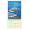 Wildlife Mini Wall Calendar 2026 7" x 7"